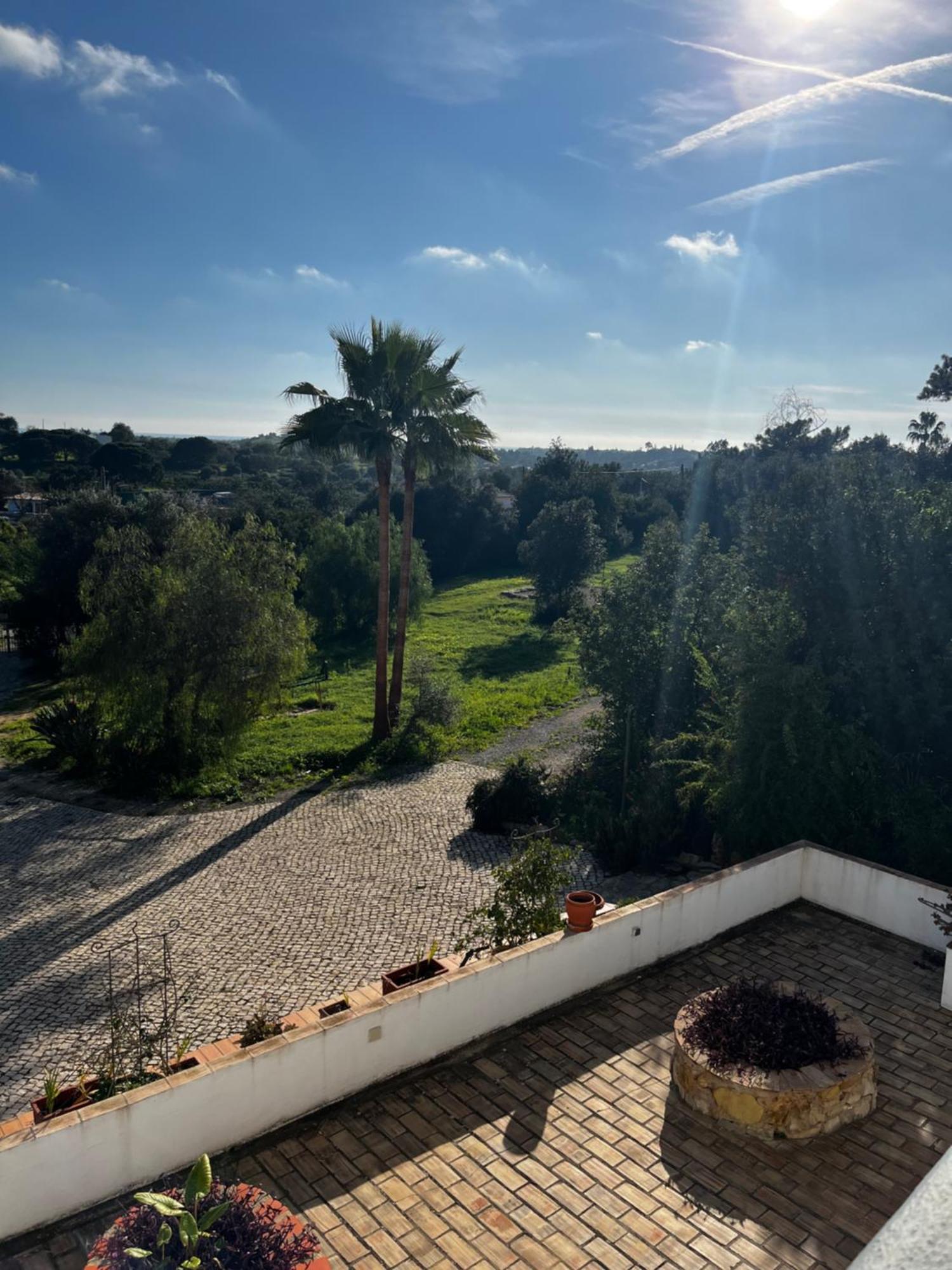 מונקאראפאצ'ו The Lemon Tree Villa מראה חיצוני תמונה